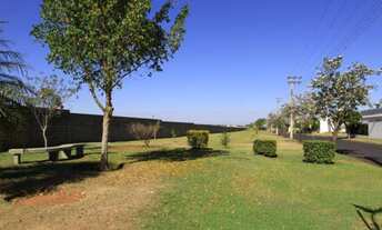 Imagem 7: Casa à venda no bairro Parque Residencial Damha III - São José do Rio Preto/SP