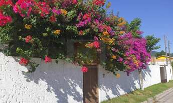 Imagem 3: Excelente Casa 3 dormitórios para Venda em São João do Rio Vermelho Florianópolis-SC