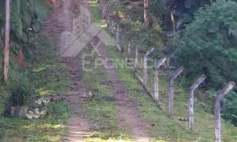 Imagem 5: Chácara à venda no bairro Rio Cerro I - Jaraguá do Sul/SC