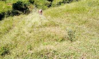 Imagem 4: 3 dormitórios, 2 banheiro