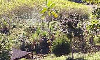 Imagem 5: 3 dormitórios, 2 banheiro