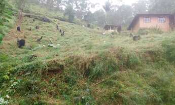 Imagem: Terreno à venda na Fazenda Bela Vista
