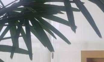 Imagem 5: VENDA Mairarê Apartamento Padrão de 109m