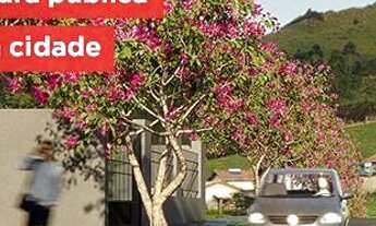 Imagem 2: Lotes Escriturados