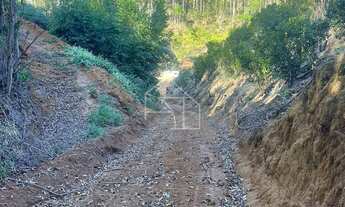 Imagem 3: Chácara em Paraju 1280 metros