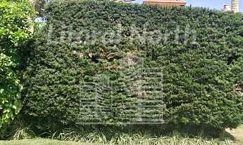 Imagem 4: Casa a venda mobiliada na praia de Taquaras em Balneário Camboriú