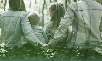 Imagem 2: Loteamento Colina Itaipava