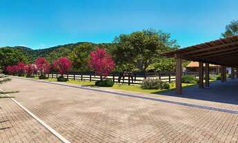 Imagem: COLINA DA PALHA