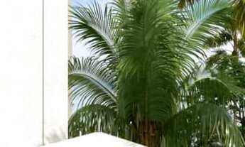 Imagem 5: Condomínio Prosperitta Harmonia