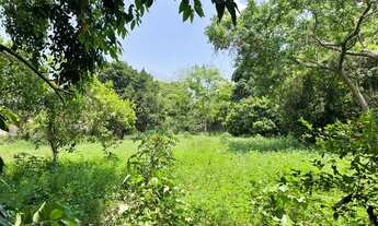 Imagem: Terreno à venda, 5100 m² por RS 600.000,00