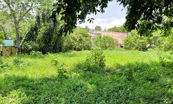 Imagem 2: Terreno à venda, 5100 m² por RS 600.000,00 - Santa Etelvina - Manaus-AM