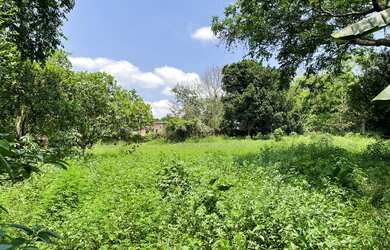 Imagem 5: Terreno à venda, 5100 m² por RS 600.000,00 - Santa Etelvina - Manaus-AM