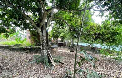 Imagem 6: Terreno à venda, 5100 m² por RS 600.000,00 - Santa Etelvina - Manaus-AM