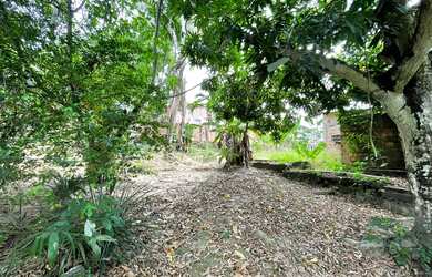 Imagem 7: Terreno à venda, 5100 m² por RS 600.000,00 - Santa Etelvina - Manaus-AM