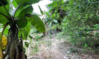 Imagem 8: Terreno à venda, 5100 m² por RS 600.000,00 - Santa Etelvina - Manaus-AM