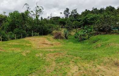 Imagem 6: Terreno à venda, 16000 m² com casa por RS 200.000 - Zona Rural de Rio Preto da Eva - Rio P
