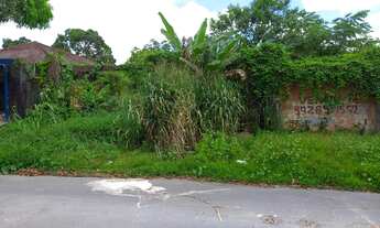 Imagem 2: EXCELENTE TERRENO COM 3 FRENTES A 200 METROS DA AVENIDA DO TURISMO