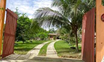 Imagem 2: Chácara-À VENDA-Zona Rural-Iranduba-AM