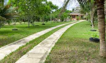 Imagem 7: Chácara-À VENDA-Zona Rural-Iranduba-AM