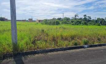 Imagem 3: TERRENO RURAL NO NOVA AMAZONAS
