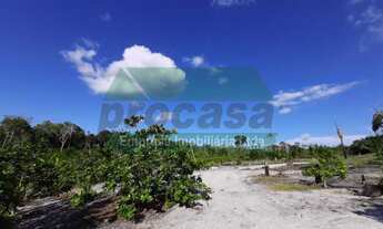 Imagem: VENDE SE SITIO NA ESTRADA DE NOVO AIRÃO