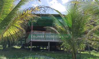 Imagem 2: SITIO RURAL EM PRESIDENTE FIGUEIREDO KM 13 BALBINA