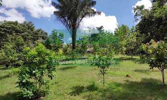 Imagem 3: SITIO RURAL EM PRESIDENTE FIGUEIREDO KM 13 BALBINA