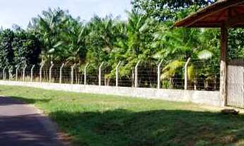 Imagem: VENDE-SE LINDO SITIO AM 010