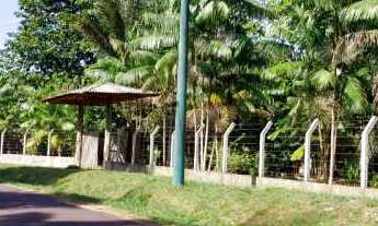 Imagem 3: VENDE-SE LINDO SITIO AM 010