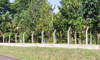 Imagem 4: VENDE-SE LINDO SITIO AM 010