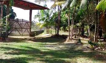 Imagem 6: VENDE-SE LINDO SITIO AM 010