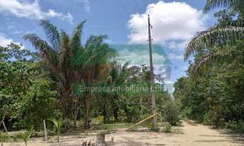 Imagem 4: VENDE-SE TERRENO NO AÇUTUBA