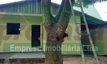 Imagem 4: Casa para venda e locação no terra nova