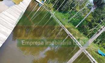 Imagem 5: Chácara com 23 hectares