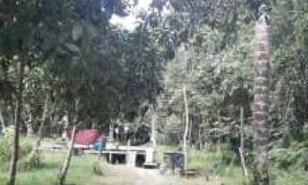 Imagem 3: Sítio Rural à venda, Parque 10 de Novembro, Manaus -