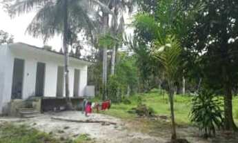 Imagem 4: Sítio Rural à venda, Parque 10 de Novembro, Manaus -