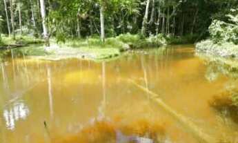 Imagem 6: Sítio Rural à venda, Parque 10 de Novembro, Manaus -