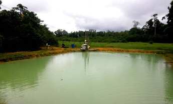 Imagem: Sítio com 4 dormitórios à venda, 1200000