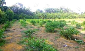 Imagem 3: Sítio com 4 dormitórios à venda, 1200000 m² por RS 500.000,00 - Centro - Presidente Figuei