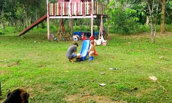 Imagem 4: Sítio com 4 dormitórios à venda, 1200000 m² por RS 500.000,00 - Centro - Presidente Figuei