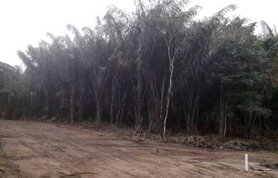 Imagem 5: Terreno à venda, 1000 m² por RS 250.000,00 - Zona Rural - Iranduba-AM