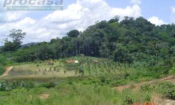 Imagem 2: Sítio com 2 dormitórios à venda, 1000 m² por RS 270.000,00 - Área Rural - Manaus-AM
