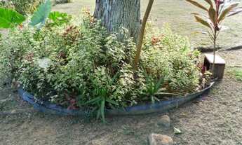 Imagem 7: Chácara com 3 dormitórios à venda por RS 700.000,00 - Monte das Oliveiras - Manaus-AM