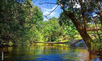 Imagem 3: Pousada com 10 dormitórios à venda, 660 m² por RS 6.000.000,00 - Zona Rural - Presidente F