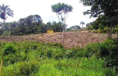 Imagem 2: Terreno para alugar, 40000 m² por RS 10.000,00-mês - Área Rural - Manaus-AM