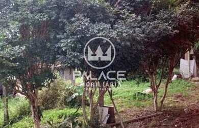 Imagem 5: Casa de rua - / Residencial / Santa Olímpia