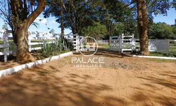 Imagem: Ótima fazenda produtiva em Avaré/SP em