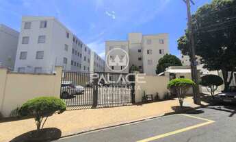 Imagem: Apartamento - / Residencial / Nova América