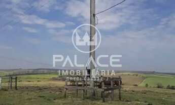 Imagem 5: Sítio documentado na beira da estrada entre Charqueada e São Pedro, SP