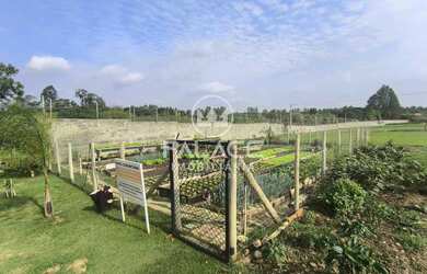 Imagem 3: Terreno-À VENDA-Residencial Fazenda Pinheirinho-Rio das Pedras-SP